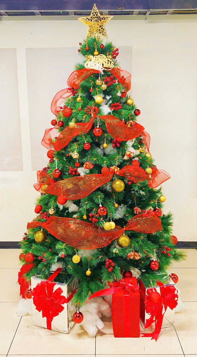 Báo Giá Trang Trí Cây Thông Noel Tại Quận Gò Vấp. Ảnh 2